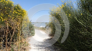 Sand access path fence beach entrance to the atlantic sea in La Rochelle ocean france