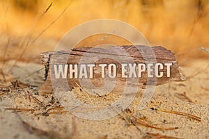 On the sand against a background of yellow grass, a signboard with the inscription -WHAT TO EXPECT