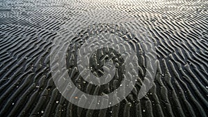 The sand appears dark with small scattered shells or stones adding contrast