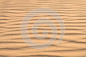 Sand background with dunes. Sand desert texture. low angle view.