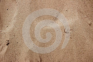 Sand background. Image of coastline, close-up