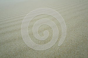 Sand background texture light color summer