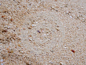 Sand background texture.