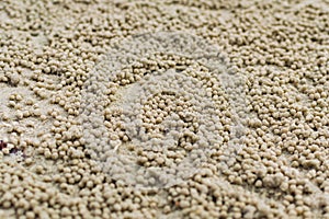 Sand ball on the beach