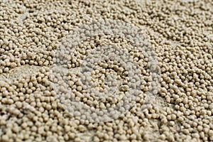 Sand ball on the beach