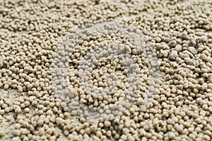 Sand ball on the beach