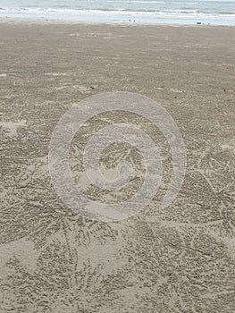 Sand balls created by crabs on secluded beach on Koh Chang island in Thailand