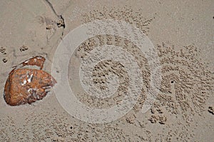 Sand balls by sand bubbler crab