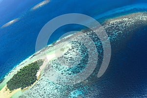 Sand bank in Shaviyani Atoll uninhabited island