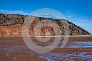 Sand bar off at low tide showing beautiful red sand cliff face with trees and blue sky