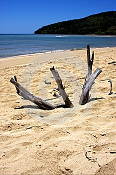 sand and beach