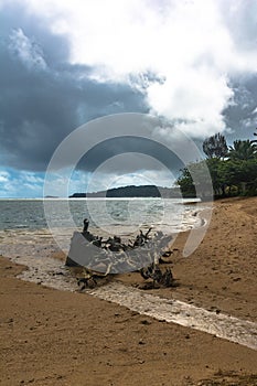Sand beach along Anini coast, Kauai, Hawaii photo