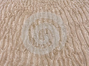 Sand on the beach for background. Brown beach sand texture. Close-up sand pattern. Top view wavy sand background for summer design