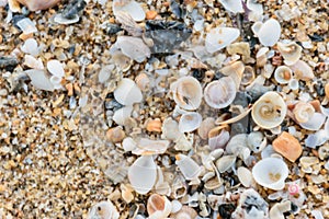 sand beach background texture