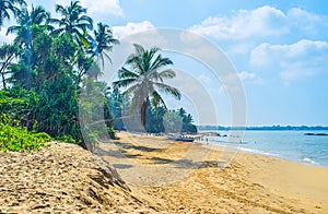 Sand beach in Bentota