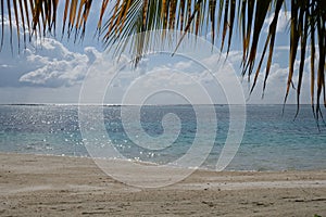 Sand beach and blue ocean horizon in Maldives under palm tree leaves