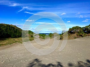 The sand with beach bush at Sigatoka Sand Dunes