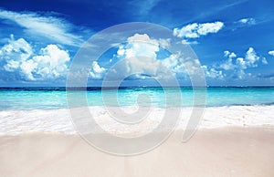 Sabbia da Spiaggia caraibico il mare 
