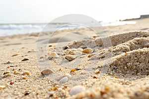 Sand beach closeup texture or background