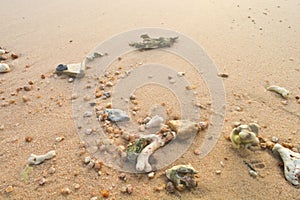 Sandy beach with coral photo