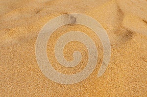 Sand of a beach or a desert or a sandpit