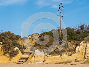 Sand beach at Gale, Portugal