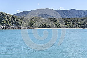 Sand beach and green shore at Cyathea Cove, near Kaiteriteri, Abel Tasman park, New Zealand