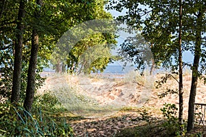 Sand beach of Gulf of Finland