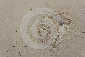 Sand on the beach With hole of crab. Crab design