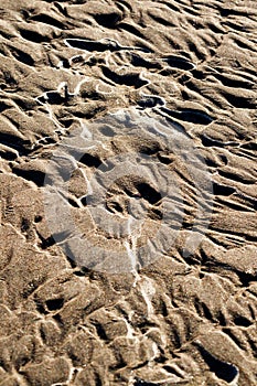Sand on the beach of Les Marines, Denia