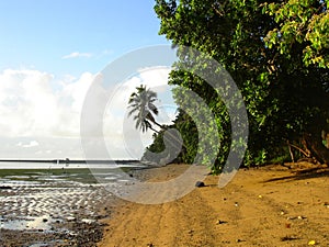 Sand beach at low tide in Melekeok, Palau