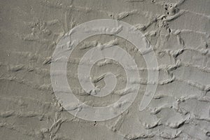 Sand beach at low tide in the Netherlands