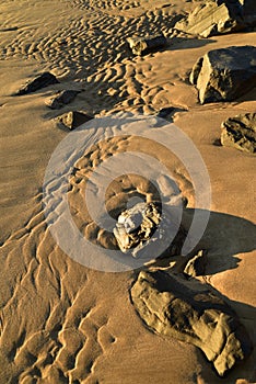 sand beach on Sea of Cortez, Baja, Mexico, low tide rock wave patterns