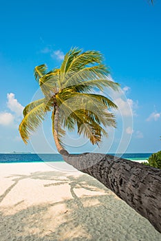 Sand beach and ocean wave, South Male Atoll. Maldives