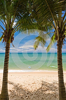 Sand beach with pams and canoes in Phu Quoc