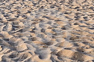 Sand beach pattern closeup for Abstract Background