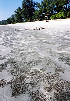 sand beach patterns Koh Pha Yam photo
