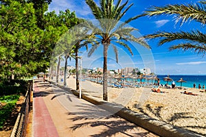 Spain Majorca, sand beach promenade with palms in Magaluf photo