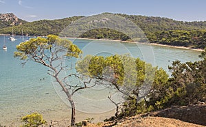 Sand beach of Porquerolles, Mediterranean Sea, french riviera