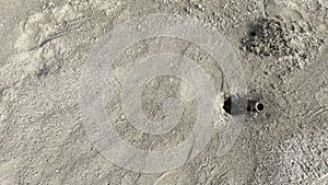 Sand on the beach with sandals and bottle trash in crab nests