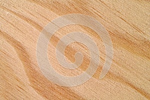 Sand blasted wood background