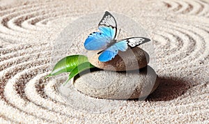 Sand, blue butterfly and spa stone in zen garden. Spa concept.