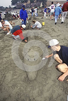 Sand Castle Sculpting Contest