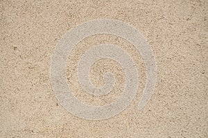 Sand cement wall texture for background and design art work