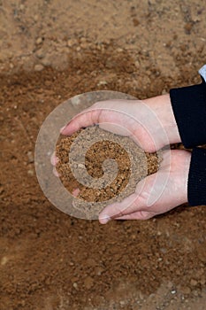 Sand in children`s hands. A child is playing in the sandbox