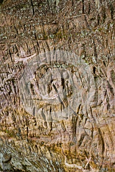 Sand Cliffs Of Taevaskoja