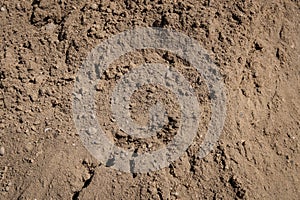 Sand closeup for construction material