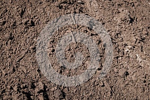 Sand closeup for construction material