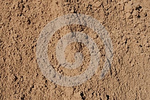 Sand closeup for construction material