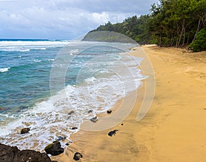 Sand Covered Beach and Forest at Kahili Beach
